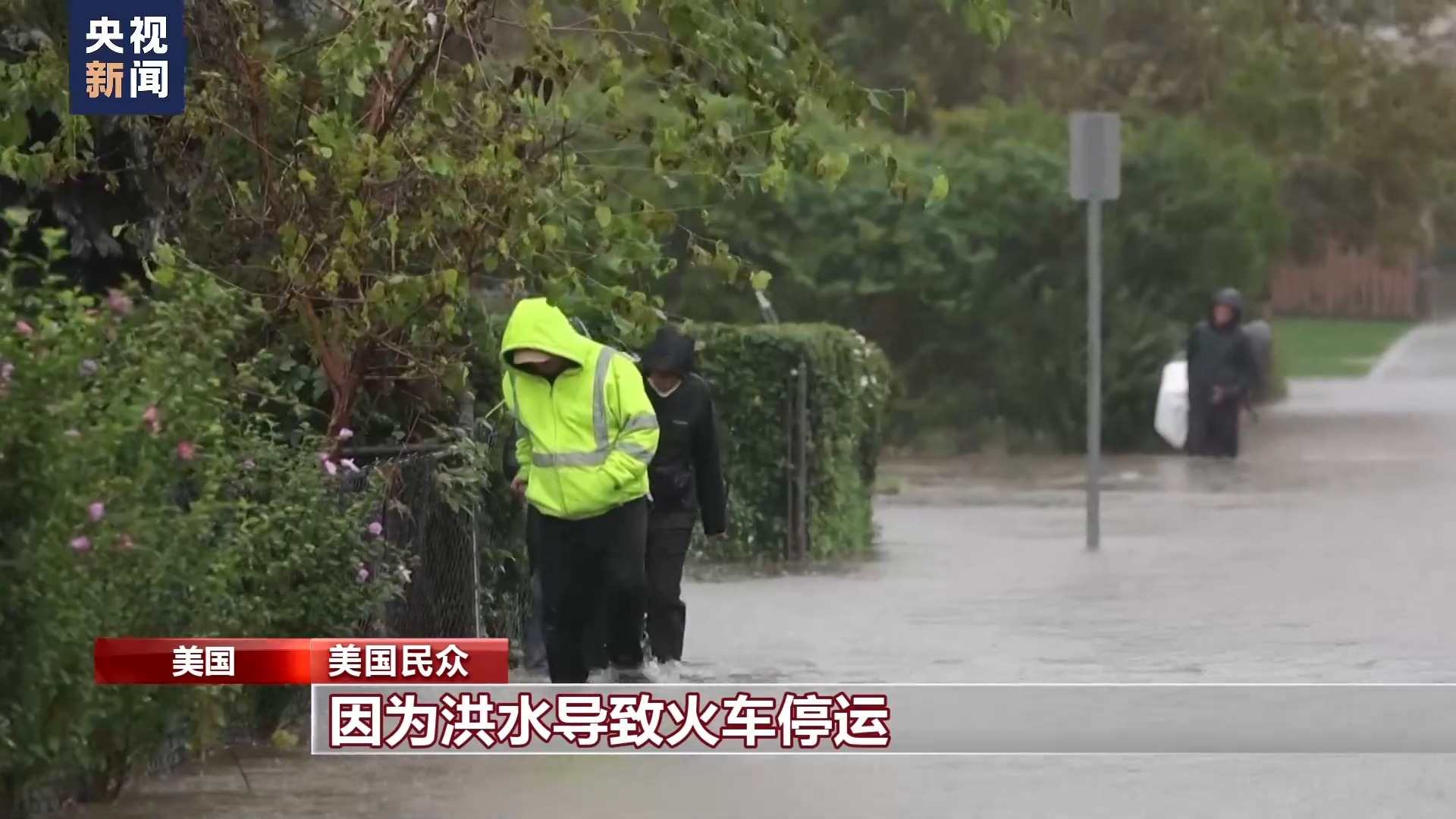 金彩网官网